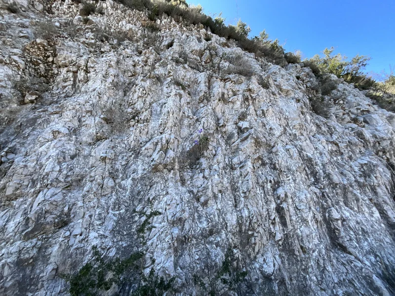 Ασβεστόλιθος